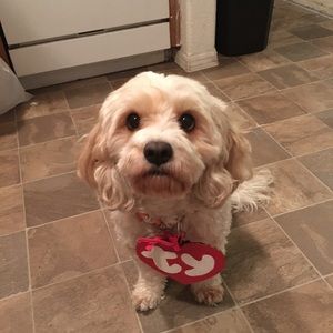 Meet your Posher, Jacob